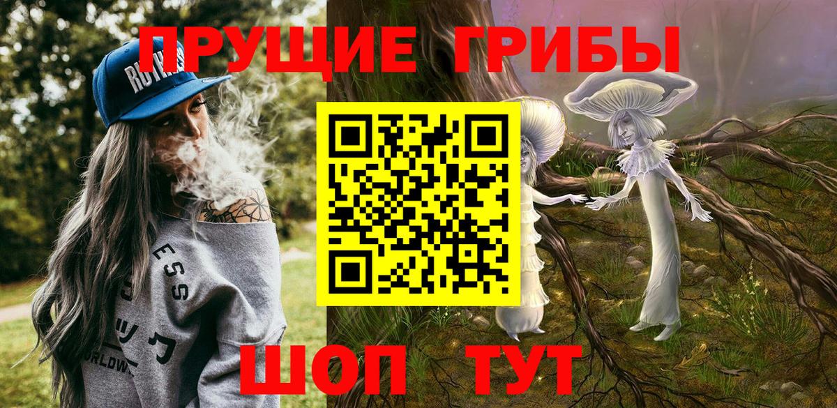 Галлюциногенные грибы GOLDEN TEACHER  Вход с VPN  Шахты  закладка  Галлюциногенные грибы Cubensis 